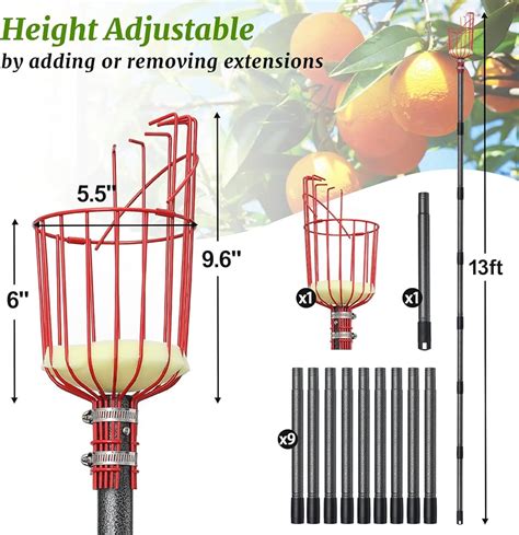 COCONUT Fruit Picker, Fruit Picker Pole with Basket India | Ubuy