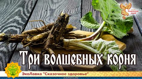 Три волшебных корня | Народное славянское радио