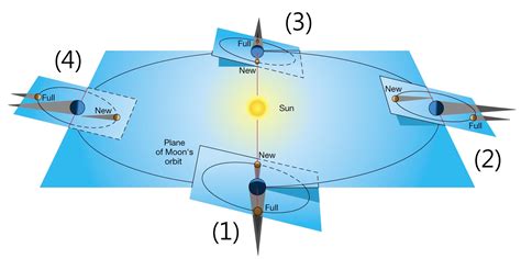 日全蝕—地球上最大的天文觀測實驗 | CASE報科學