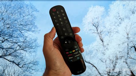 Image result for Using LG Magic Remote