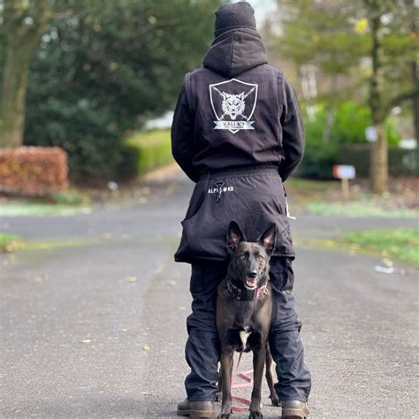 Glasgows Doors Open Festival, Springburn Park, Glasgow, 21 September ...