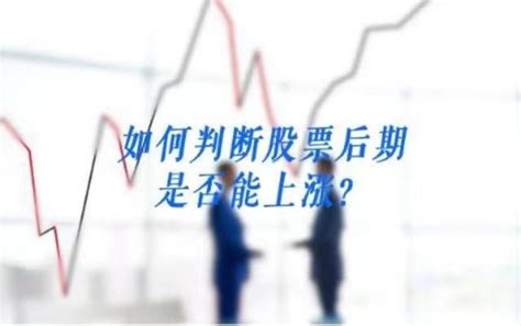 从中国股市20年暴涨暴跌看未来三年走势(图)-搜狐财经