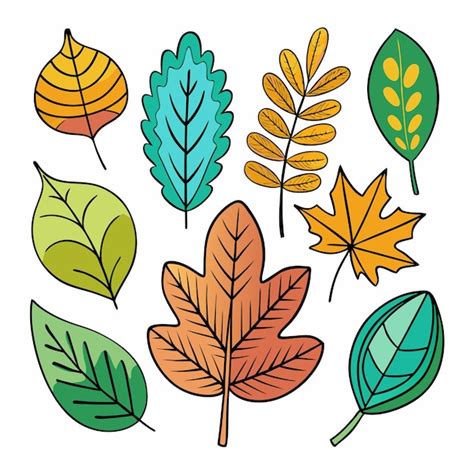 Colorful leaf pattern | Premium Vector