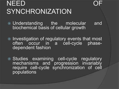 Image result for Cell Cycle Synchronization