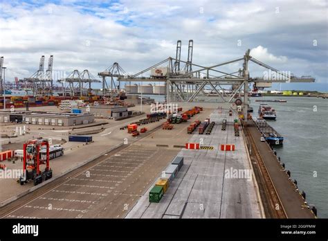 Image result for Rotterdam Container Terminal