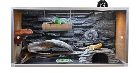 Natural Looking Ball Python Enclosures 的图像结果