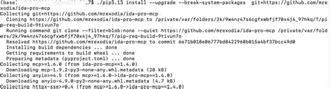 IDA Pro + MCP 逆向分析