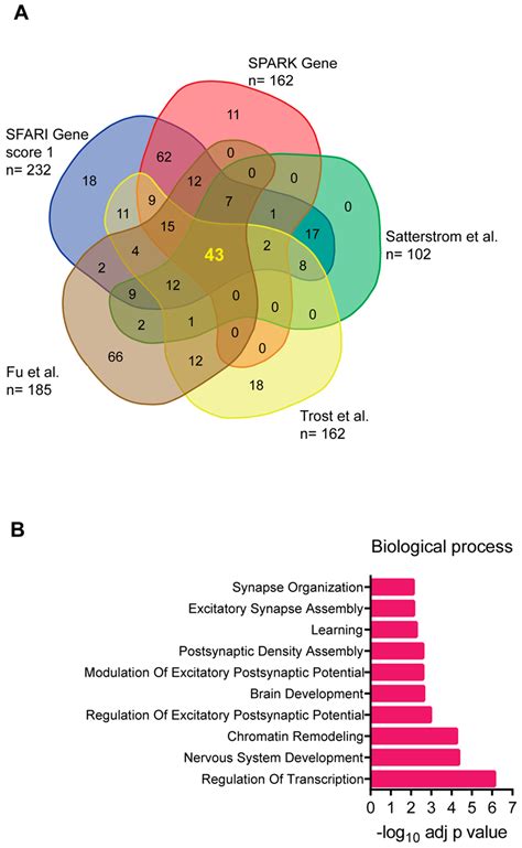 Unravelling the Cerebellar Involvement in Autism Spectrum Disorders ...