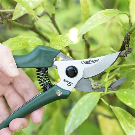 Bypass Pruner 195mm – Cyclone Tools