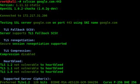 Image result for How to Use SSLScan