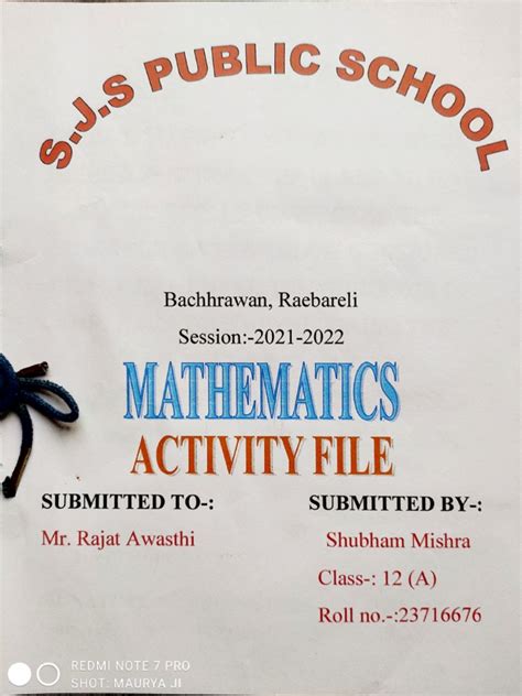 Maths Activity Class 12 的图像结果