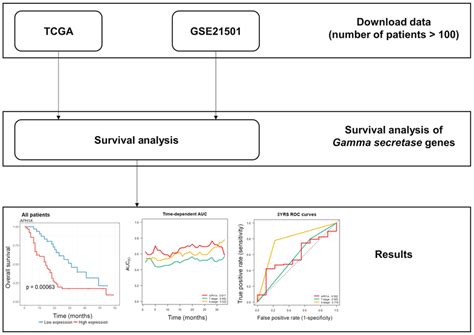 Flowchart TCGA 的图像结果
