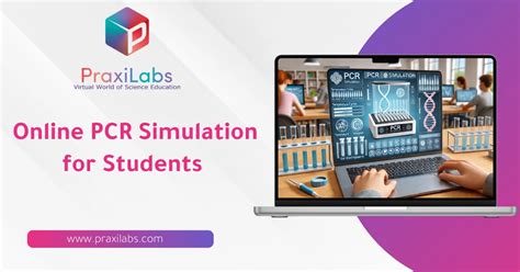 Virtual PCR Simulator 的图像结果
