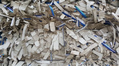 Image result for Cardboard Pulping