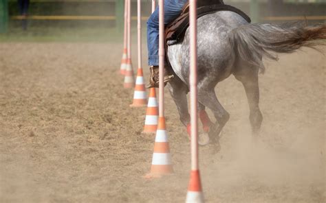 Horse Disciplines - Saskatchewan Horse Federation