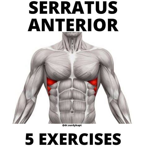 Serratus Posterior Exercises
