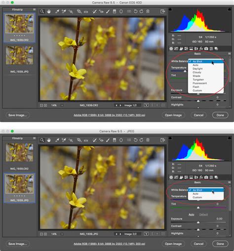 Image result for File Format Photography