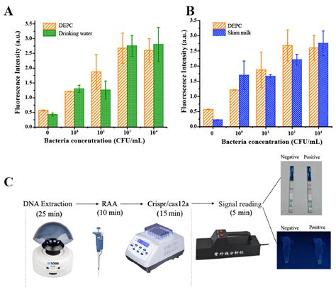 Ultrasensitive and Rapid Visual Detection of Escherichia coli O157:H7 ...