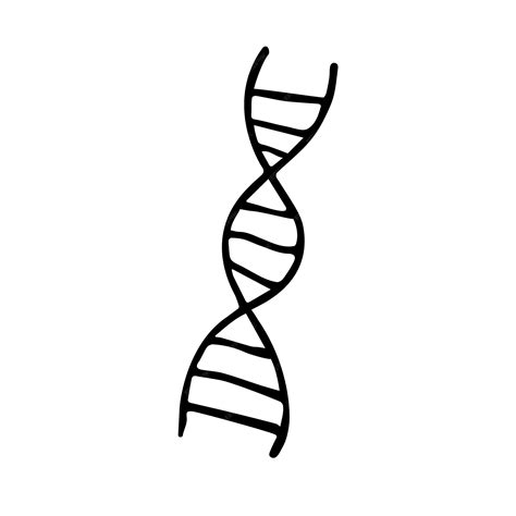 Premium Vector | A drawing of a dna strand.