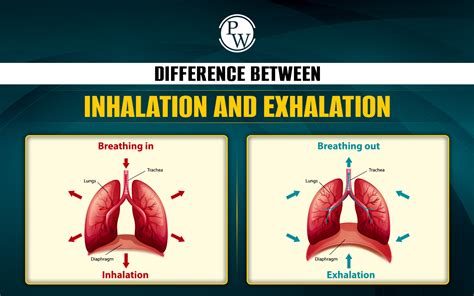 Image result for Inhalation Process Book