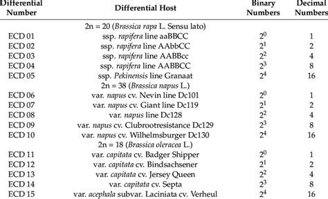 Image result for ECD Class