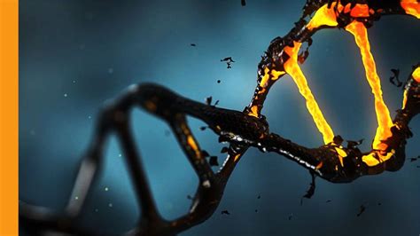 The future of crime-fighting is family tree forensics | GQ India