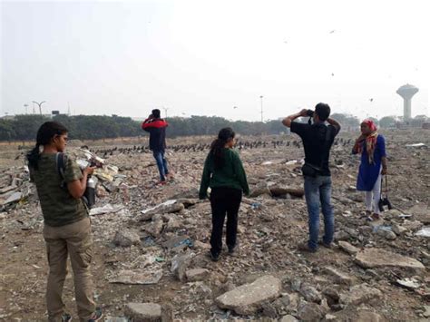 RAPTOR RESEARCH AND CONSERVATION FOUNDATION