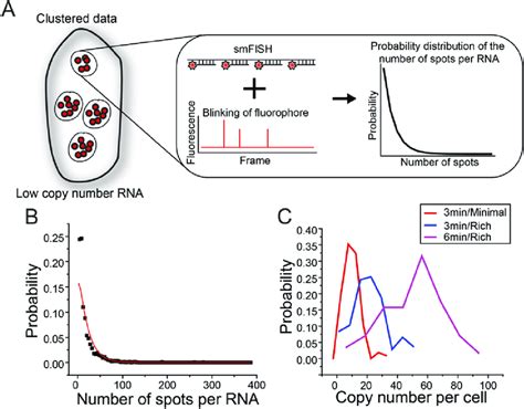 Calculation of Copy Number 的图像结果