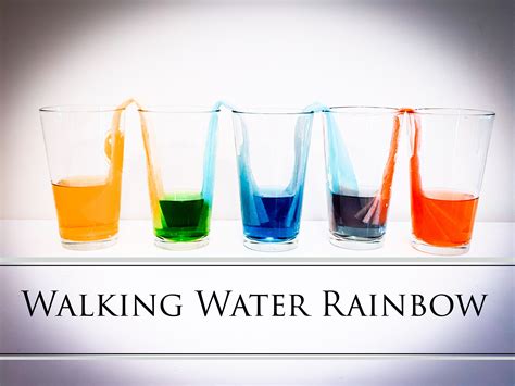 Walking Water Rainbow Experiment for Kids - Momgineering the Future