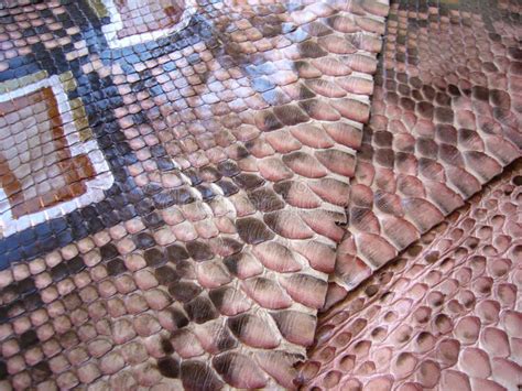 Image result for Pink Python Skin