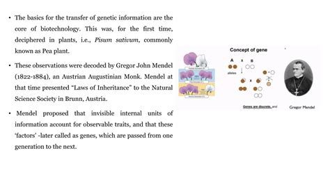 Biotechnology Basic Concepts 的图像结果