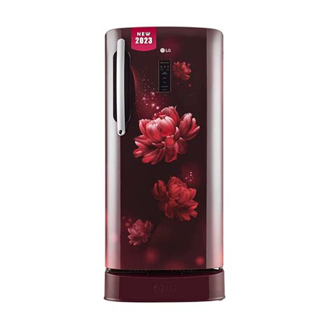 Buy LG 201 L 5 Star GLD211CSCU Inverter DirectCool Single Door ...