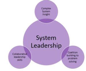 Function Less Leader Model 的图像结果