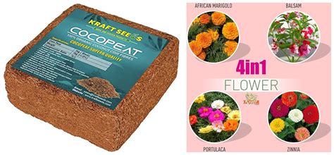 Kraft Seeds Cocopeat for Home Garden (1kg) & Kraft Seeds Mix Flower ...