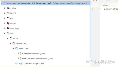 CAS Module Assembly Install 的图像结果