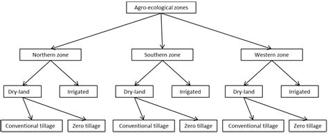 An Assessment of Direct on-Farm Energy Use for High Value Grain Crops ...