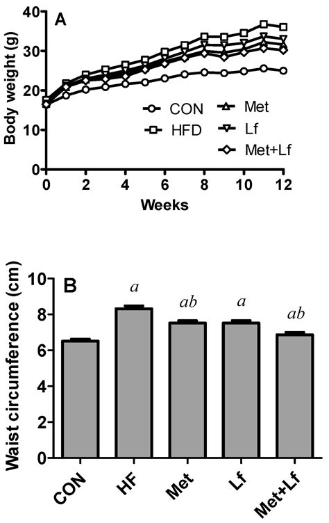 Effects of Metformin Combined with Lactoferrin on Lipid Accumulation ...