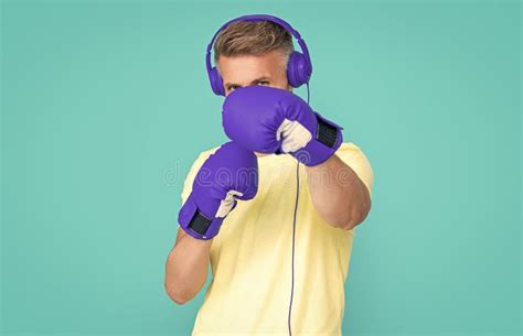 Boxer Boxing 的图像结果