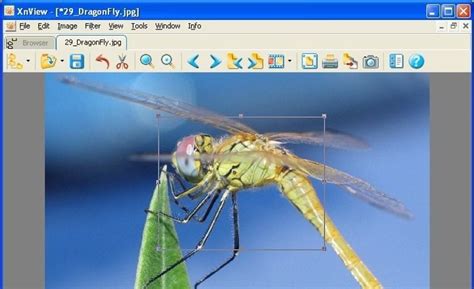 Image result for Is IrfanView Open Source