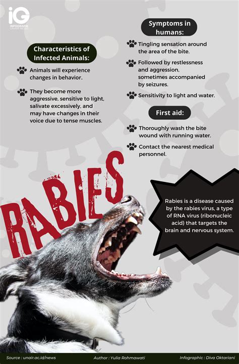 Do Monkeys Carry Rabies Virus at Steven Begay blog