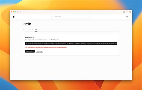 API Authorization Token 的图像结果