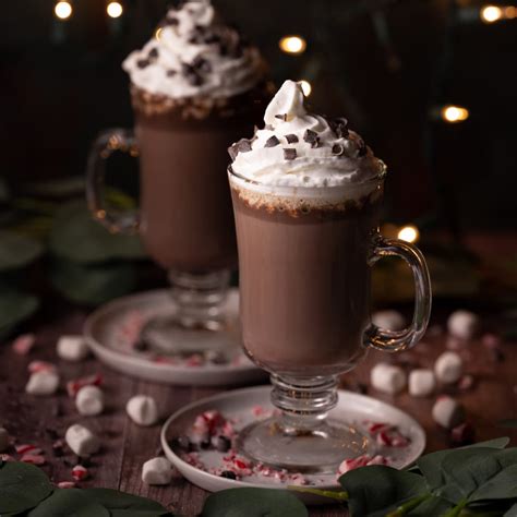 9+ Baileys Hot Chocolate Recipes | AtaraAurelie