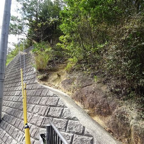 MYOGO ROCK - All You Need to Know BEFORE You Go 2026 (with Photos ...
