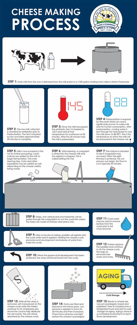 Image result for Cheese Manufacturing Process
