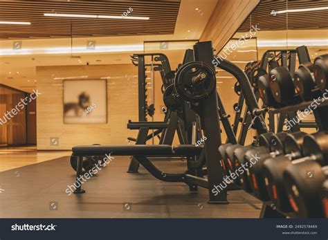 Weight Lifting Gym 的图像结果