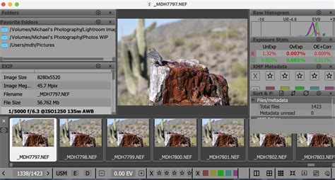 Image result for Fast Raw Viewer Tutorials