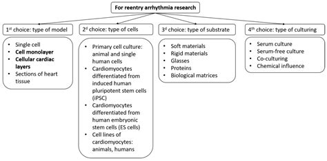 Biomimetic Cardiac Tissue Models for In Vitro Arrhythmia Studies