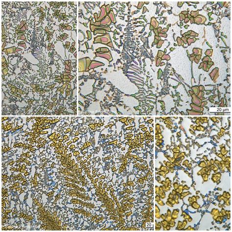Image result for Engineering Science Microstructure of Metals