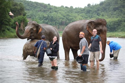 Laos Animals