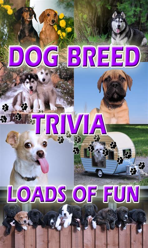 Ace Dog Breeds Trivia - Free Fun Animal Quiz - App on Amazon Appstore